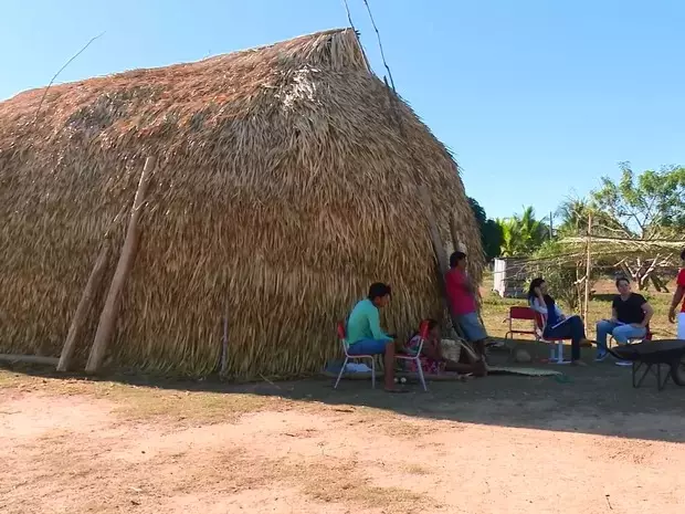Negócios de impacto impulsionam a economia na Amazônia Legal